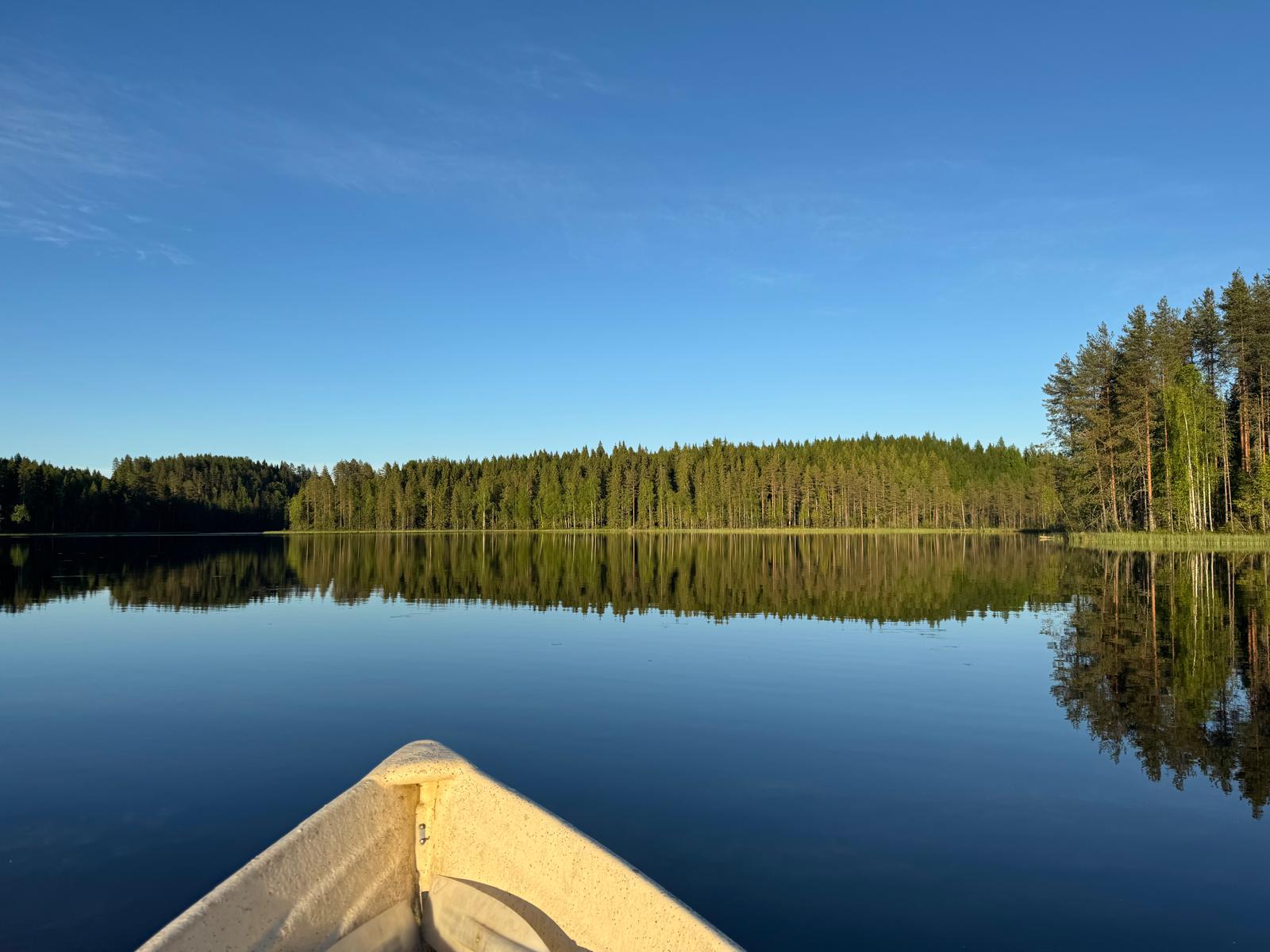 Kesämaisema 